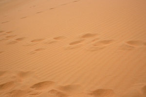 footprints-12